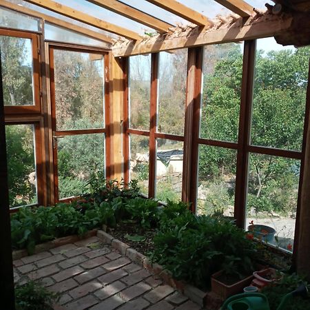 Country Living School Konuk evi Làconi Dış mekan fotoğraf