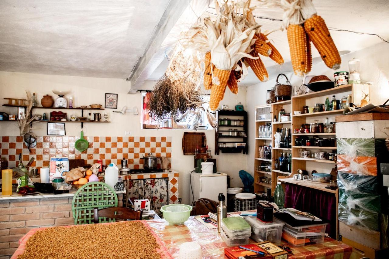 Country Living School Konuk evi Làconi Dış mekan fotoğraf