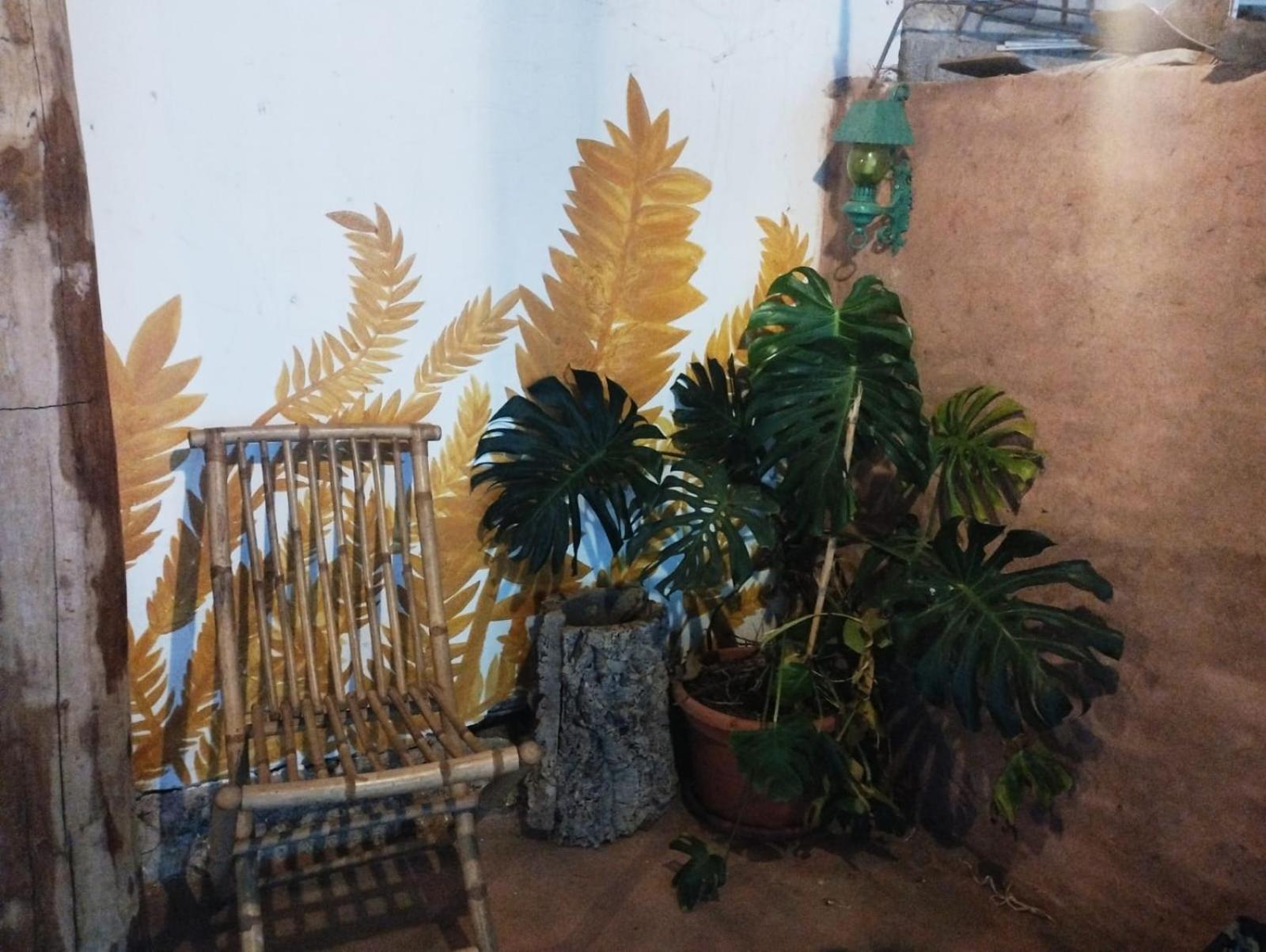 Country Living School Konuk evi Làconi Dış mekan fotoğraf